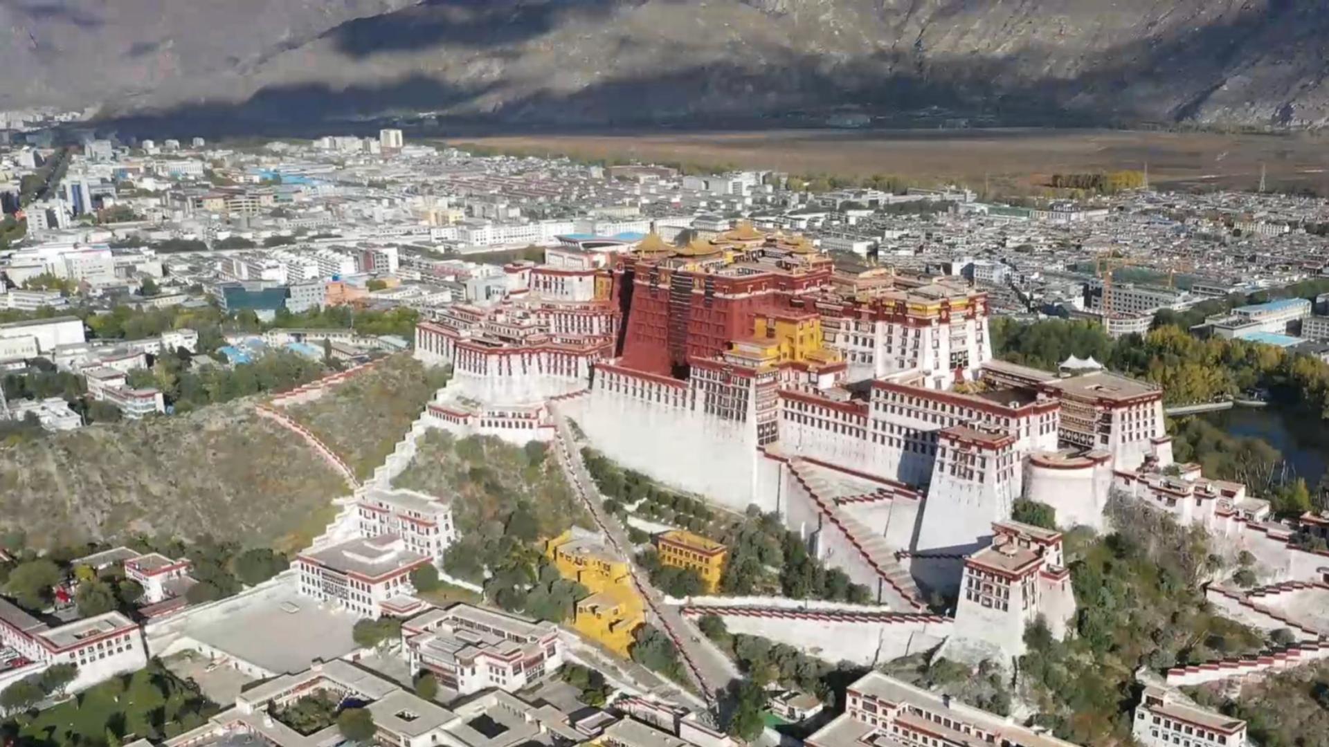 The Potala Palace's 3D Journey: Making Cultural Heritage Alive in the Present